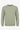 Herren-Sweatshirt in Salbeigrün aus Baumwollmischgewebe mit Rundhalsausschnitt, langen Ärmeln und Stretchanteil