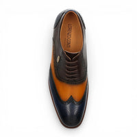 Antonin 01 - Herren-Oxfordschuhe aus blau-braunem Leder