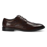 Cambridge - Dunkelbraune Herren-Brogue-Derby-Schuhe mit Flügelkappe