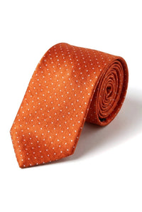 Cavani Satin-Krawatte – Passende Herren-Krawatte aus Satin-Seide, Einstecktuch, Taschentuch und Krawattenklammer, gepunktet, für Hochzeit, Abschlussball, Büro