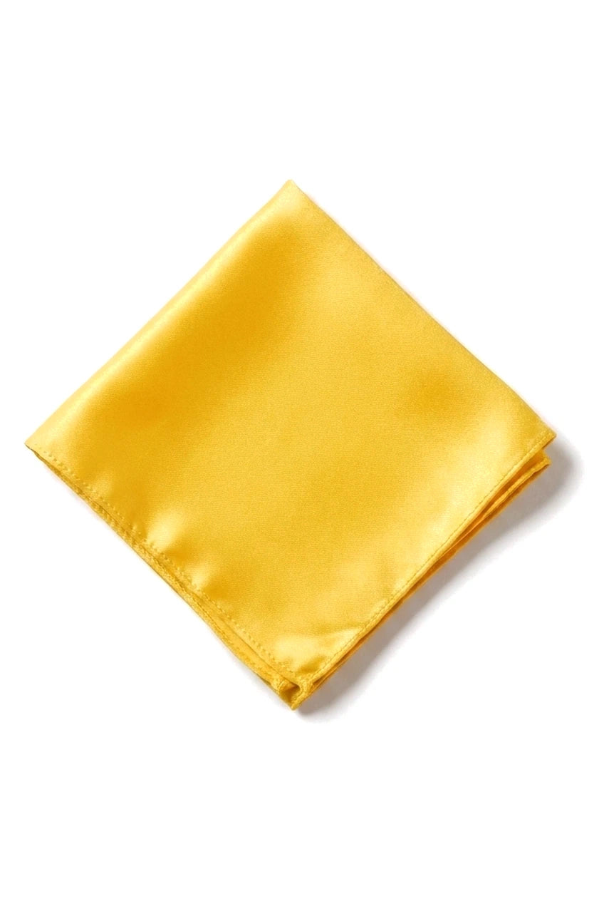 Cavani Satin-Krawatte – Passende Herren-Krawatte aus Satin-Seide, Einstecktuch, Taschentuch und Krawattenklammer, gepunktet, für Hochzeit, Abschlussball, Büro