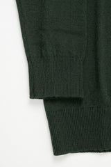 Grüner Herren-Rollkragenpullover aus weichem Viskosemischgewebe mit langen Ärmeln
